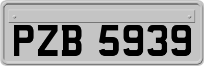 PZB5939