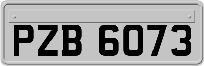 PZB6073