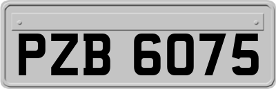 PZB6075