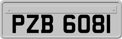 PZB6081