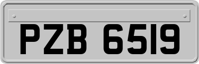 PZB6519