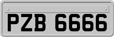 PZB6666