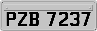 PZB7237