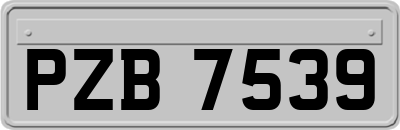 PZB7539