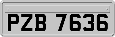 PZB7636