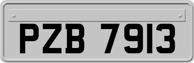 PZB7913