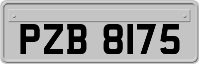 PZB8175