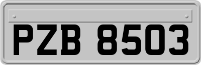 PZB8503