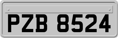 PZB8524