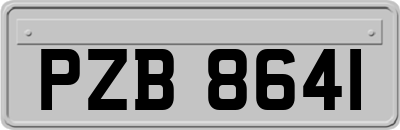 PZB8641