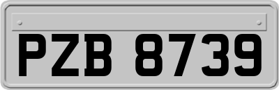 PZB8739