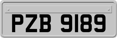 PZB9189
