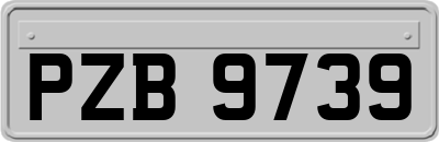 PZB9739