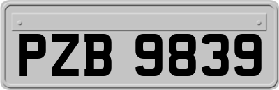 PZB9839