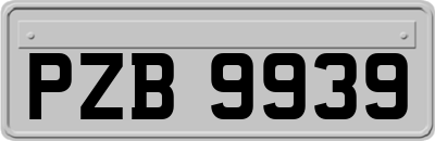 PZB9939