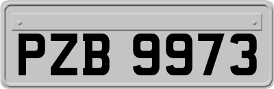 PZB9973