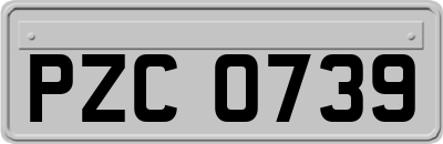 PZC0739