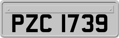 PZC1739