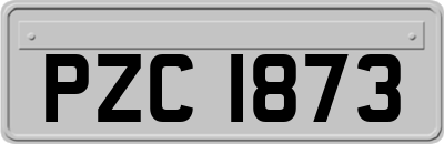PZC1873