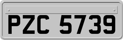 PZC5739