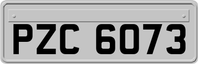 PZC6073