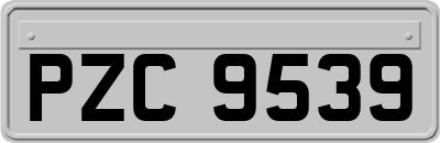PZC9539