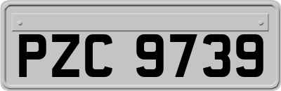 PZC9739