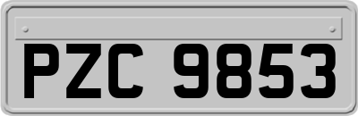 PZC9853