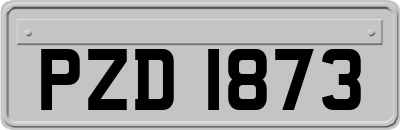 PZD1873