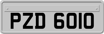 PZD6010