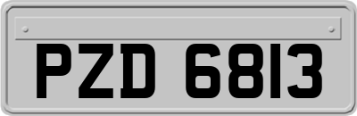 PZD6813