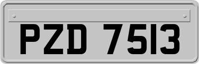 PZD7513