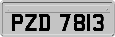 PZD7813