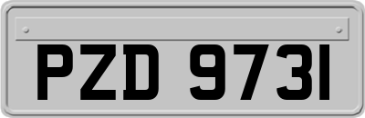 PZD9731