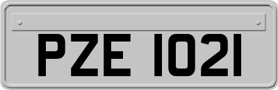 PZE1021