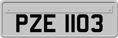 PZE1103