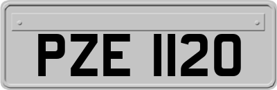 PZE1120