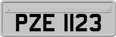 PZE1123