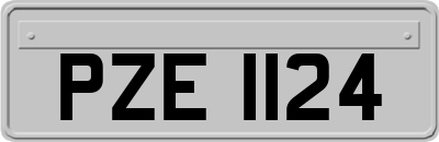 PZE1124