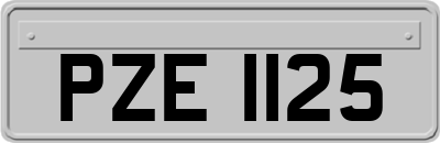 PZE1125