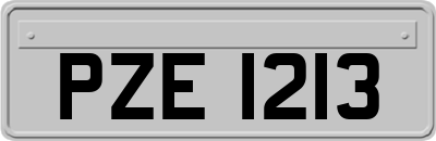 PZE1213