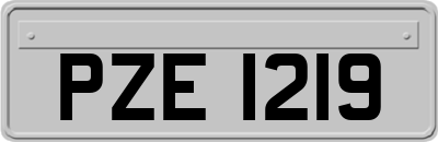 PZE1219