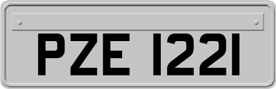 PZE1221