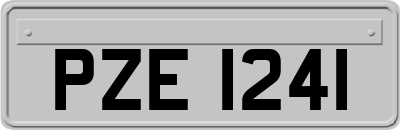 PZE1241