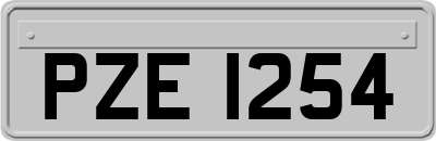 PZE1254