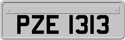 PZE1313