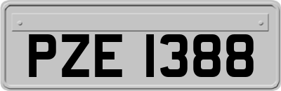 PZE1388