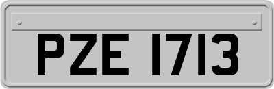 PZE1713