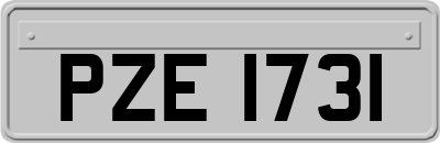 PZE1731