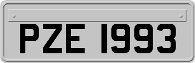 PZE1993